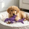 purple-shark-plush-squeaky-dog-toy Purple Shark Squeaky Plush Dog Toy