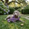 purple-shark-squeaky-toy-for-dogs Purple Shark Squeaky Plush Dog Toy